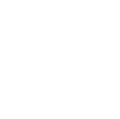 LOGO ALDO