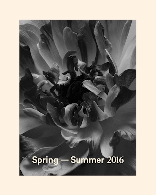 Ann Taylor Image 02 COMBO