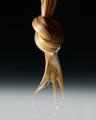 Thenue co 1745500654 3617844169690588489 2729711169