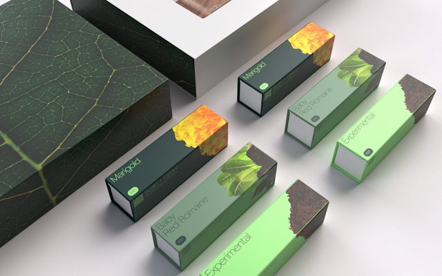 Edn Packaging 01 COMBO